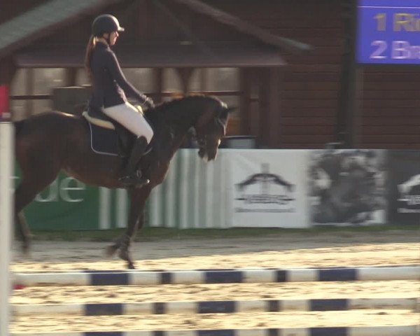 Reitturnier Dortmund-Barop 2023