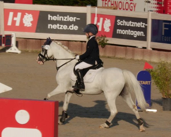 Reitturnier Winterlingen 2023