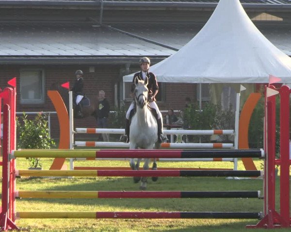 Reitturnier Münchehofe 2023