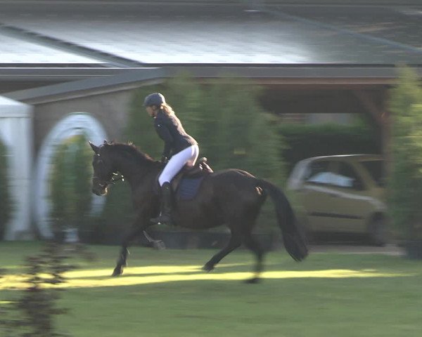 Reitturnier Münchehofe 2023