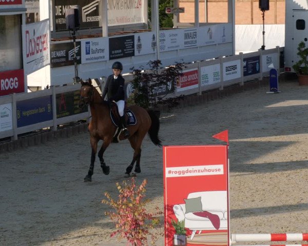 Reitturnier Winterlingen 2023