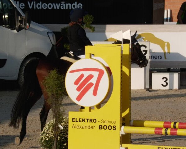 Reitturnier Winterlingen 2023