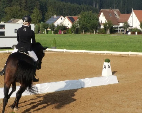 Reitturnier Babenhausen 2023
