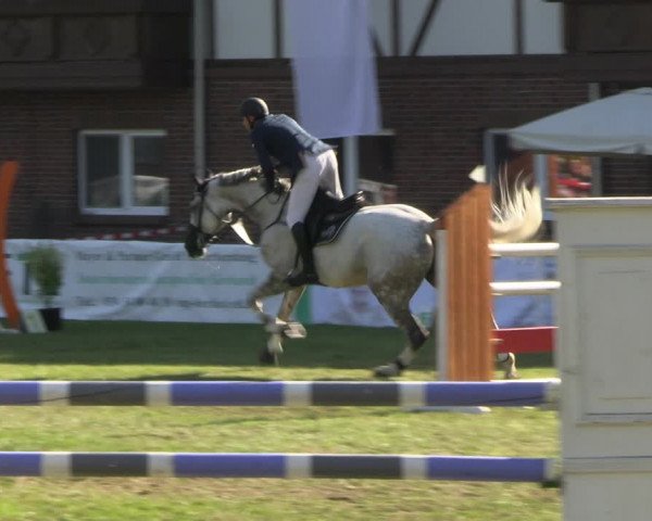 Reitturnier Münchehofe 2023