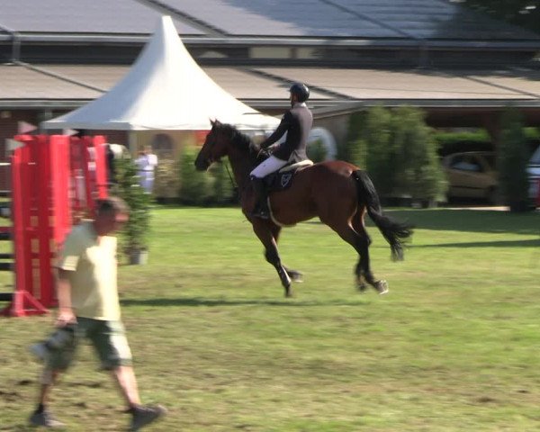 Reitturnier Münchehofe 2023