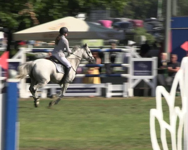 Reitturnier Münchehofe 2023