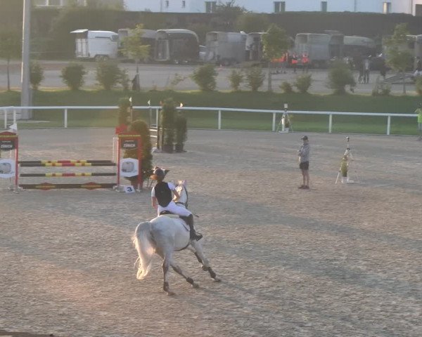 Reitturnier Bülach 2023