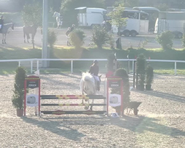 Reitturnier Bülach 2023