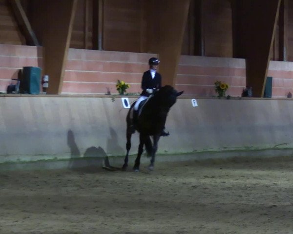 Reitturnier Dortmund-Barop 2023