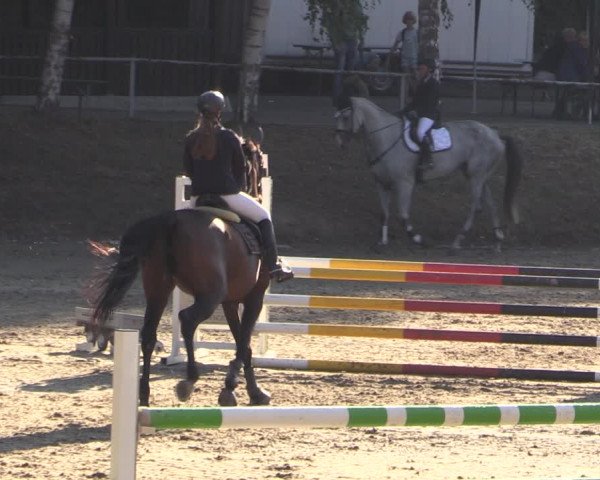 Reitturnier Langenleuba - Oberhain 2023