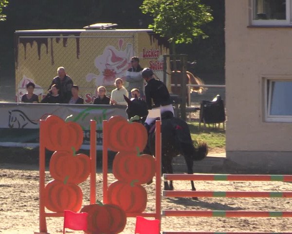 Reitturnier Langenleuba - Oberhain 2023