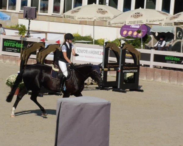 Reitturnier Winterlingen 2023