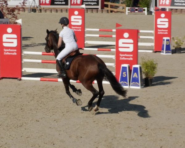 Reitturnier Winterlingen 2023