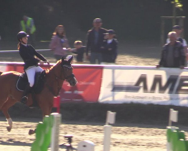 Reitturnier Langenleuba - Oberhain 2023