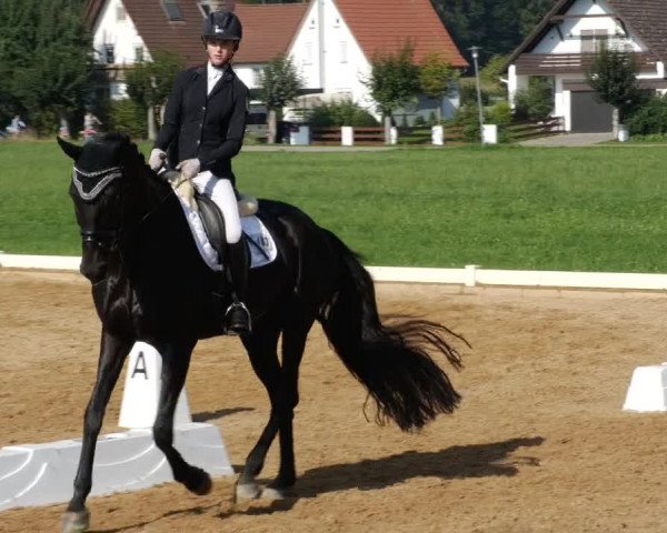 Reitturnier Babenhausen 2023