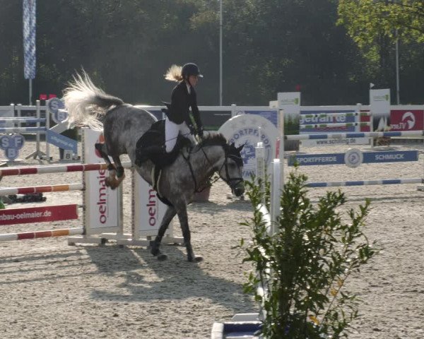Reitturnier Babenhausen 2023