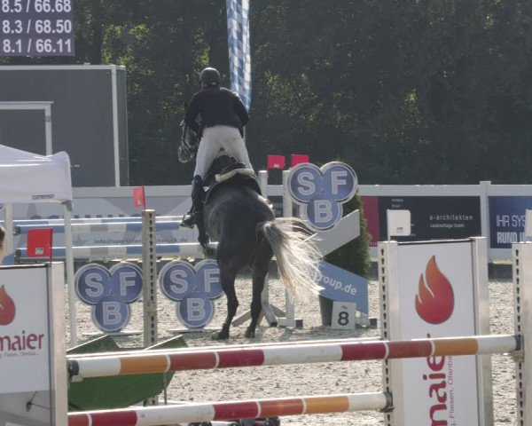 Reitturnier Babenhausen 2023