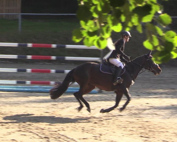 Reitturnier Langenleuba - Oberhain 2023