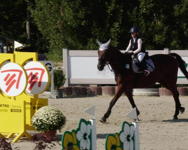 Reitturnier Winterlingen 2023