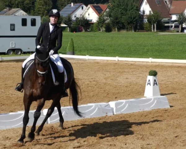 Reitturnier Babenhausen 2023