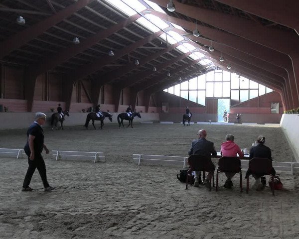 Reitturnier Dortmund-Barop 2023
