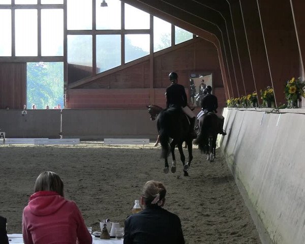 Reitturnier Dortmund-Barop 2023