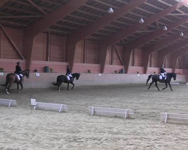 Reitturnier Dortmund-Barop 2023