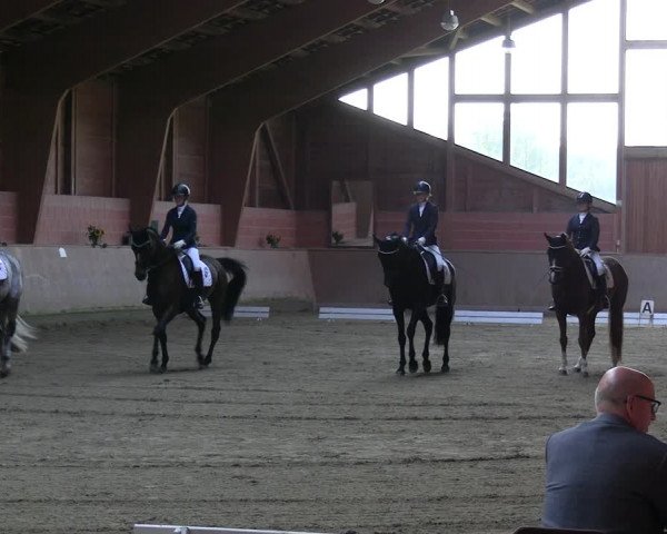 Reitturnier Dortmund-Barop 2023