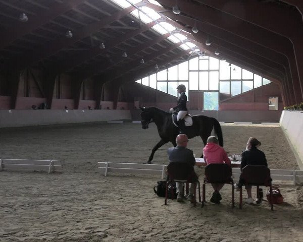 Reitturnier Dortmund-Barop 2023