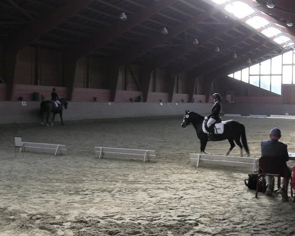 Reitturnier Dortmund-Barop 2023