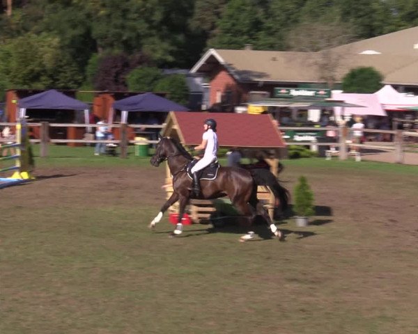 Reitturnier Niemegk / Neuendorf 2023