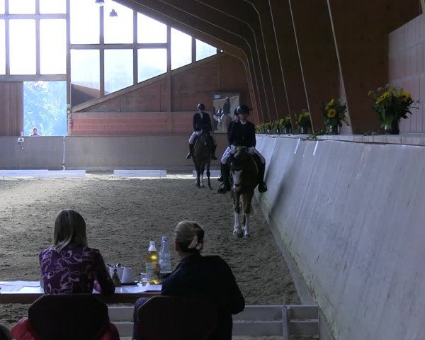 Reitturnier Dortmund-Barop 2023