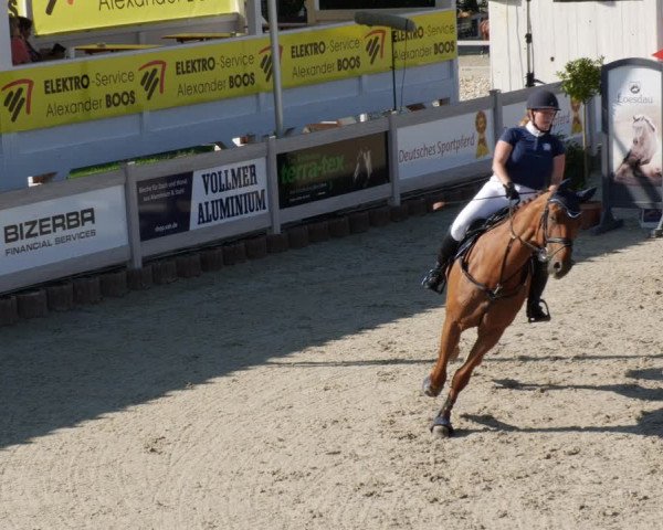 Reitturnier Winterlingen 2023
