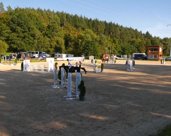 Reitturnier Bad Liebenstein/Sorga 2023