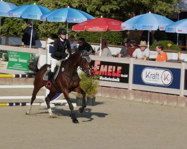 Reitturnier Winterlingen 2023