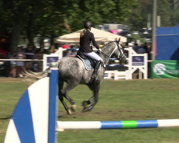 Reitturnier Münchehofe 2023