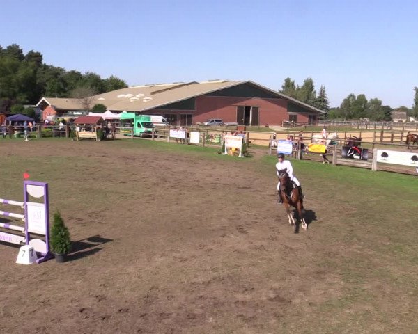Reitturnier Niemegk / Neuendorf 2023