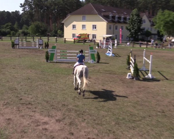Reitturnier Niemegk / Neuendorf 2023