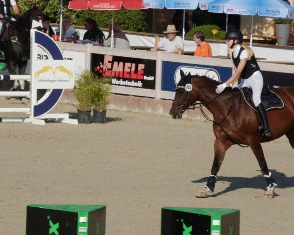 Reitturnier Winterlingen 2023