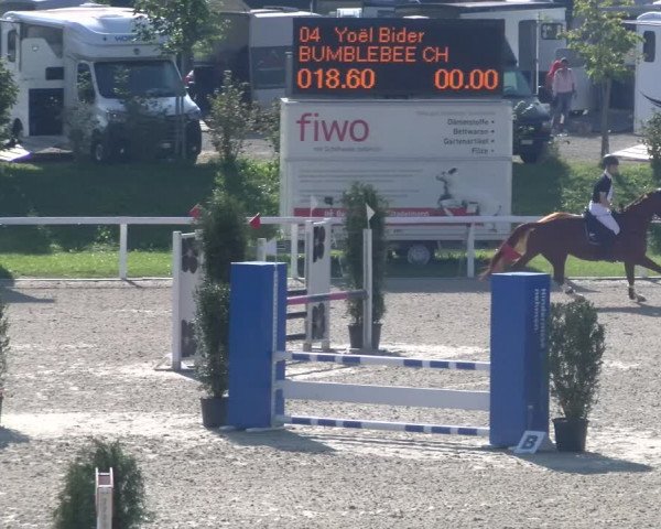 Reitturnier Bülach 2023
