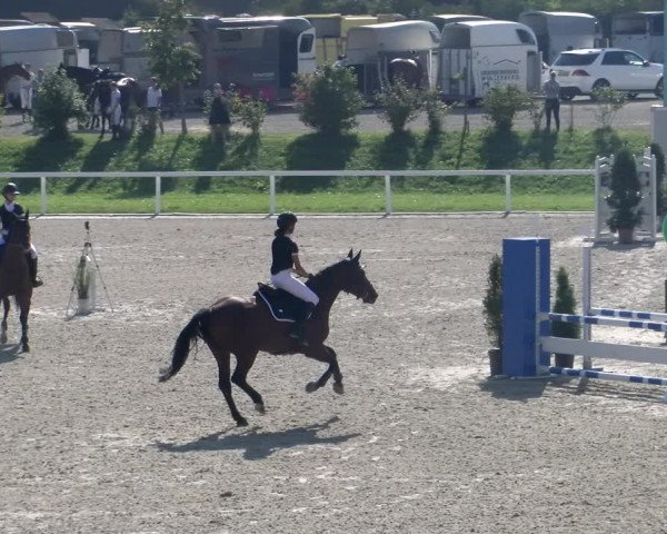 Reitturnier Bülach 2023