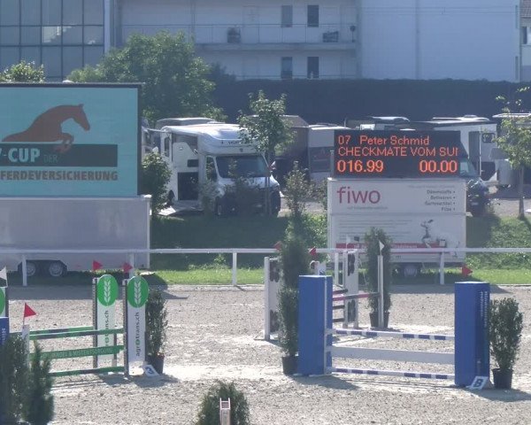 Reitturnier Bülach 2023