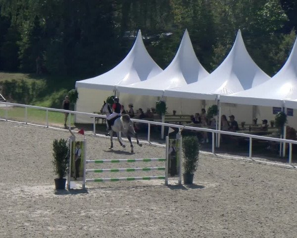 Reitturnier Bülach 2023