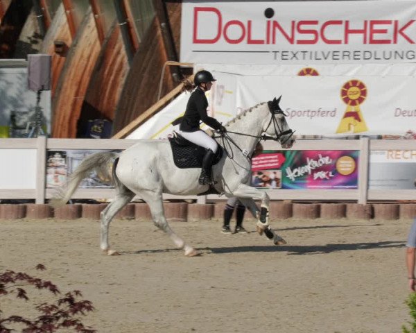 Reitturnier Winterlingen 2023