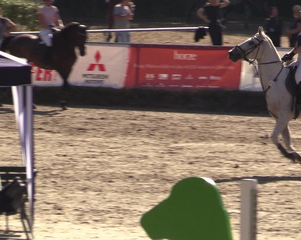 Reitturnier Langenleuba - Oberhain 2023