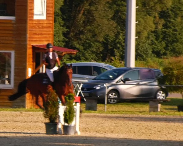 Reitturnier Bad Liebenstein/Sorga 2023