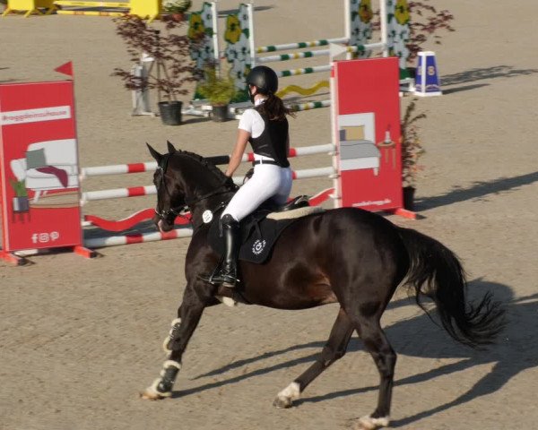 Reitturnier Winterlingen 2023