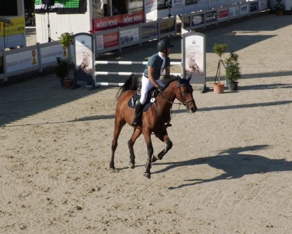 Reitturnier Winterlingen 2023