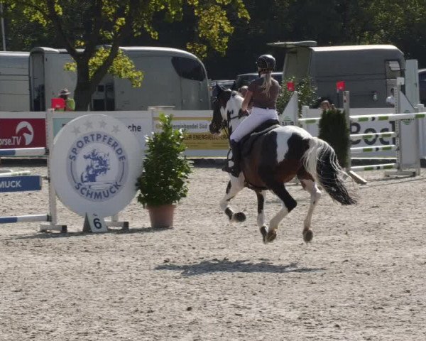 Reitturnier Babenhausen 2023