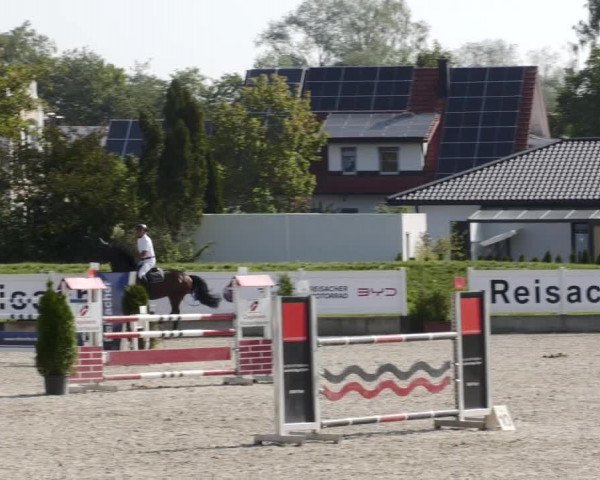 Reitturnier Babenhausen 2023